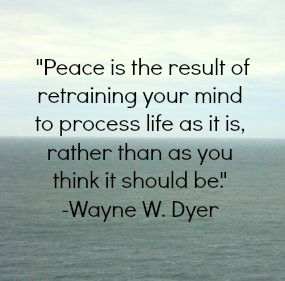 298c5f454dfed282b8424bc2e55180da