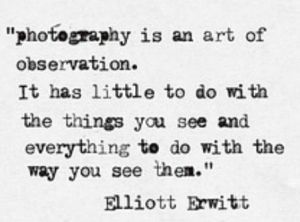 fbd179502994f1d26b5249ad8e6a3763