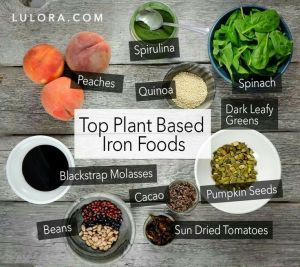 6881636b8582ae685b5bb4c9a72f015e